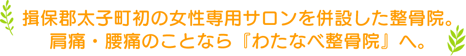 揖保郡太子町初の女性専用サロンを併設した整骨院。肩痛・腰痛のことならわたなべ整骨院へ。