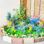 院内ディスプレイ　初夏のお庭